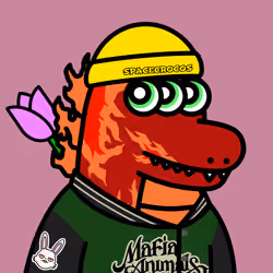 SPACE CROCOS#3586