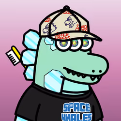 SPACE CROCOS#5216
