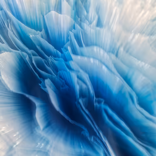 Abs Art 2