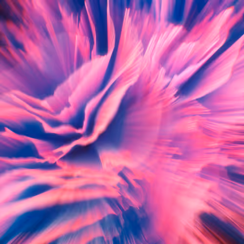 Abs Art 2