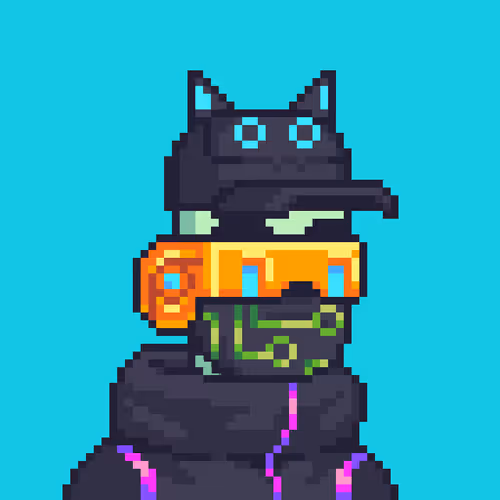 Neopunkssaga