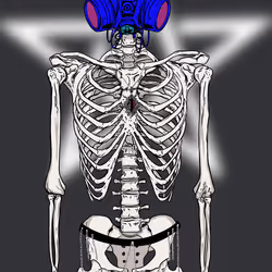 1351