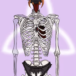 478