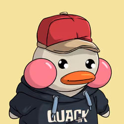 Duckies 3703