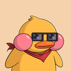 Duckies 2587