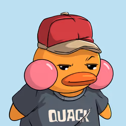Duckies 4304