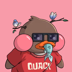 Duckies 863