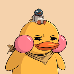 Duckies 4281