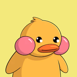 Duckies 3242
