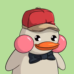 Duckies 938