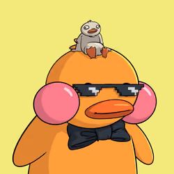 Duckies 2865