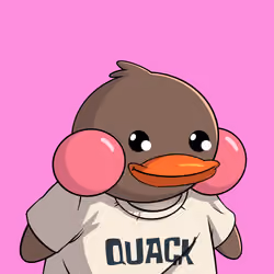 Duckies 4133