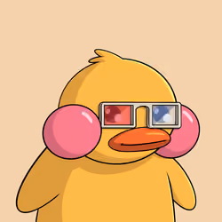 Duckies 4364