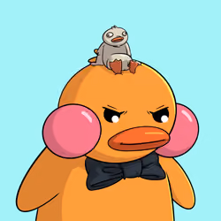 Duckies 3163