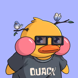 Duckies 893
