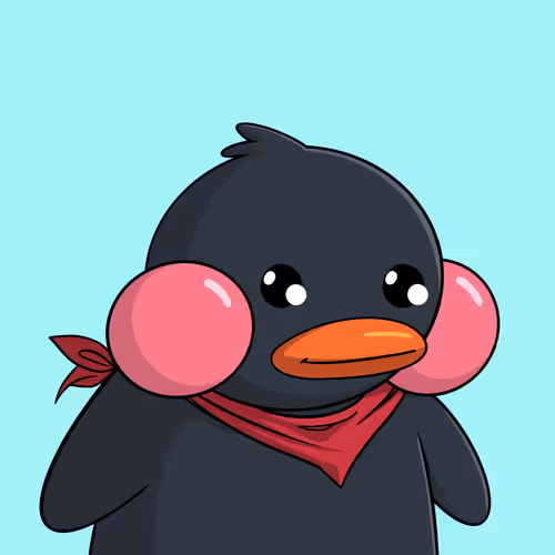 Duckies 873