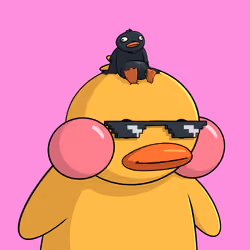 Duckies 867