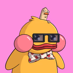 Duckies 4168