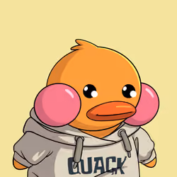 Duckies 2405