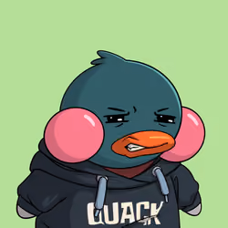 Duckies 2966