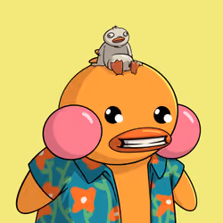 Duckies 2438