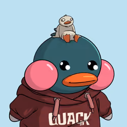 Duckies 1552