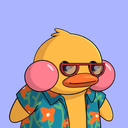 Duckies 3011