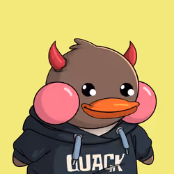 Duckies 2864