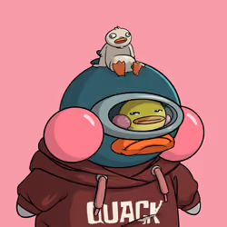 Duckies 1506