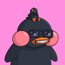 Duckies 4253