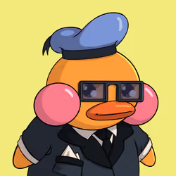 Duckies 2764