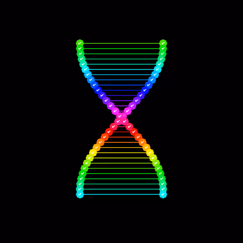 Vvisions 1