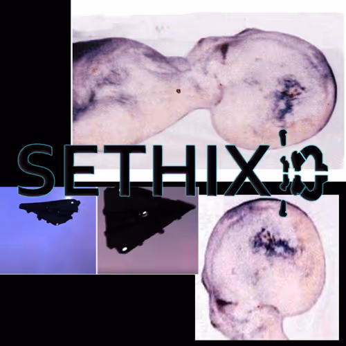 Item #24 Media