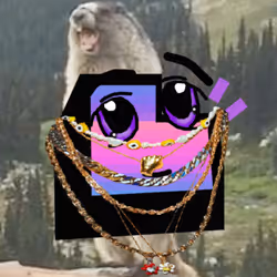 Tut Loudio #1465