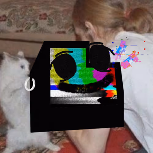 Tut Loudio #1784
