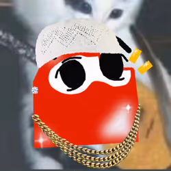 Tut Loudio #761