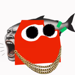 Tut Loudio #65