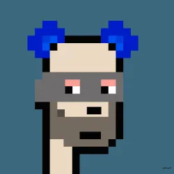 Urban Punk#6836