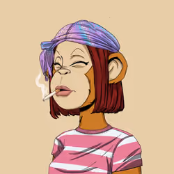 GossApe Girl #2518