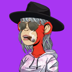 GossApe Girl #453
