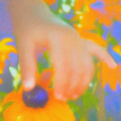 Oshi On Sound