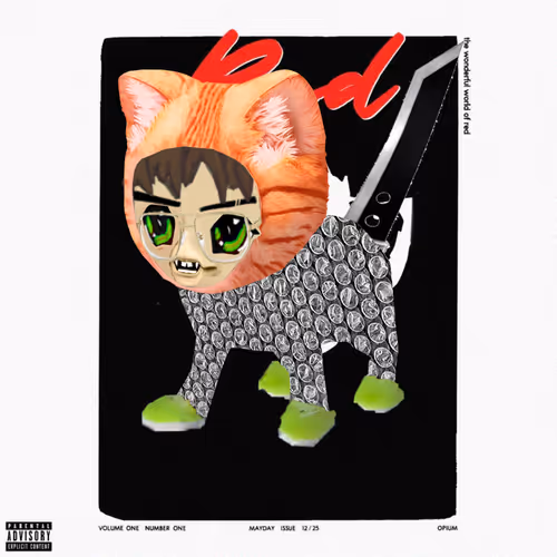 Radbro Radcats