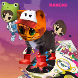 Radcat #1655