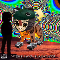 Radcat #244