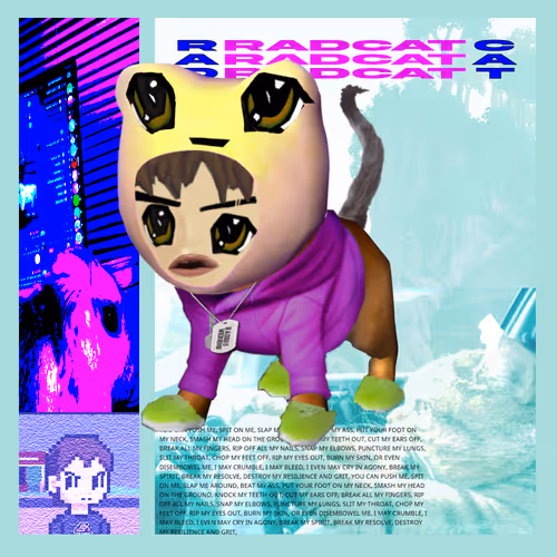 Radbro Radcats