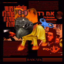 Radcat #884