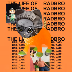 Radcat #4664