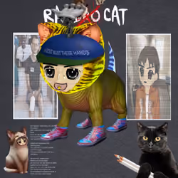 Radcat #3919