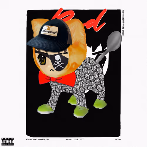 Radbro Radcats