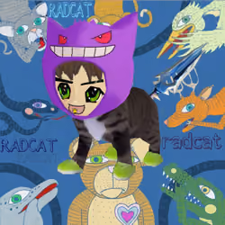 Radcat #5582